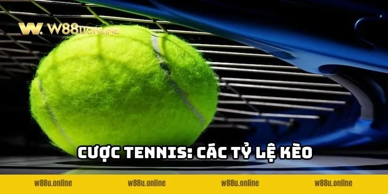 Khám phá các loại kèo cá cược Tennis W88 hot 