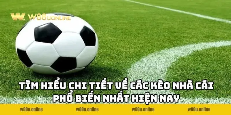 Tổng hợp chi tiết về các Kèo nhà cái W88 phổ biến nhất hiện nay
